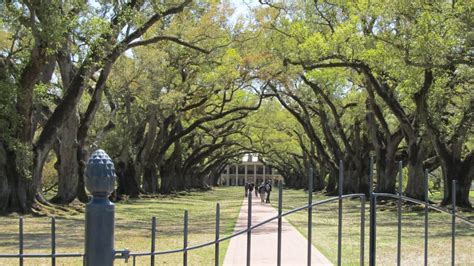 Explore The Past With This Guide To An Oak Alley Plantation Tour - Past ...