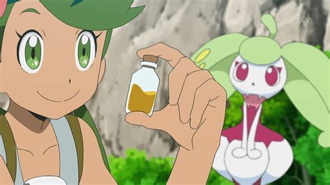 Pokémon Anime Daily: Sun & Moon Episode 18 Summary/Review – Pokemon ...