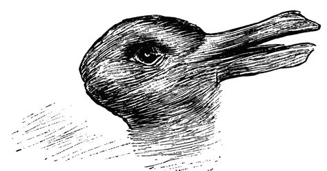 Do You See A Duck Or A Bunny In This Optical Illusion? Your Answer ...