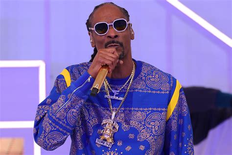 Snoop Dogg Included Gang References In His Super Bowl Halftime Show ...