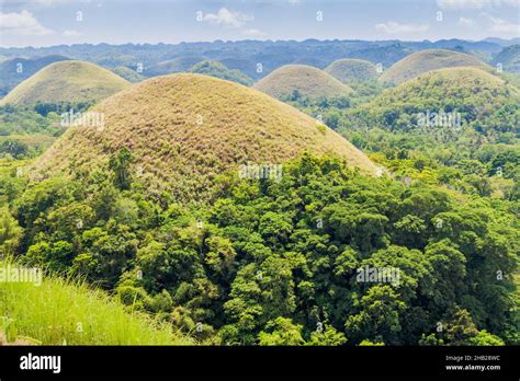 Geological formation The Chocolate Hills on Bohol island, Philippines ...