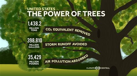 The Power of Trees | Climate Central