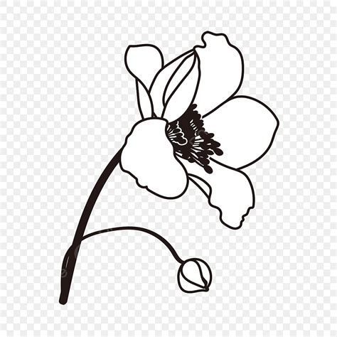 Free Black And White Flower Clipart Images | Best Flower Site