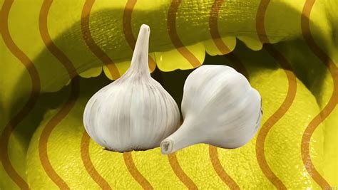 Why eating garlic causes bad breath? | Britannica