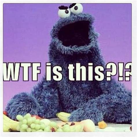 Top 90+ Pictures Funny Pictures Of Cookie Monster Superb