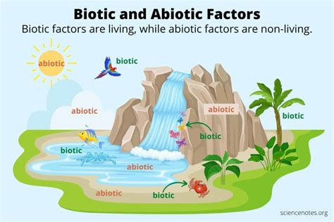 What is Difference Between Biotic and Abiotic Components?