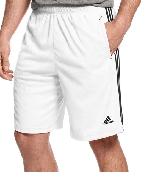 Adidas originals Men's Climalite Essential Shorts in White for Men ...