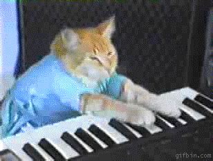 Keyboard Cat GIFs - Find & Share on GIPHY