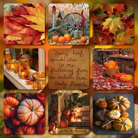 Pin by ~*Joannie*~ on ~*Collage~Inspiration One*~ | Autumn magic ...