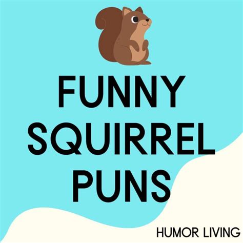 70+ Funny Squirrel Puns That’ll Make You Go Nuts - Humor Living