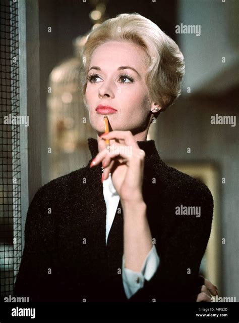 Tippi Hedren / les oiseaux / 1963 réalisé par Alfred Hitchcock Photo ...