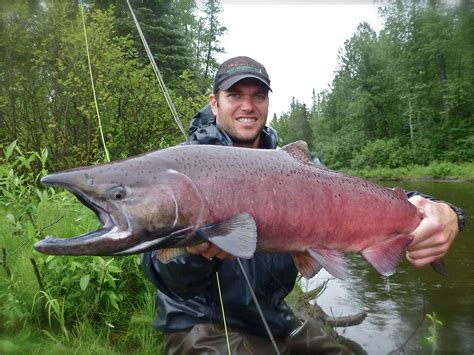 Kings On the Fly: Fishing for Alaska’s Most Sought After Salmon ...