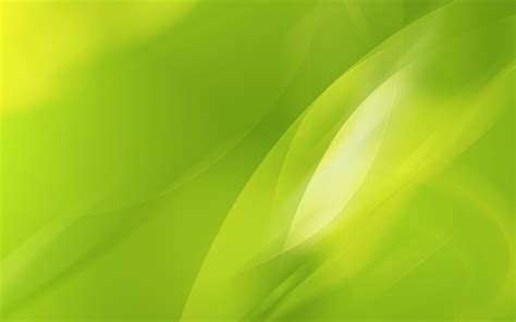 Lime Green Background Powerpoint - 2560x1600 Wallpaper - teahub.io