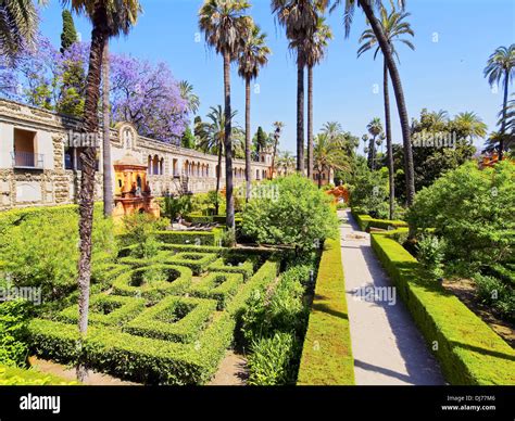 Gardens in Reales Alcazares in Seville - residence developed from a ...