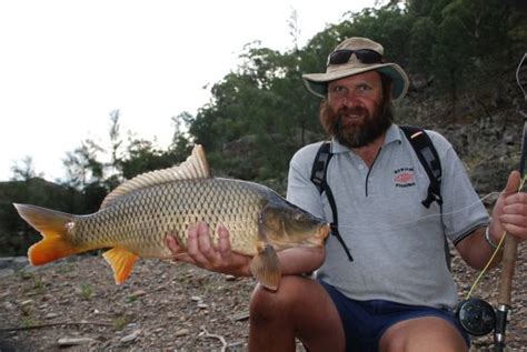 Carp: the Australian story - Fishing World Australia