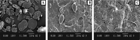 SEM images of A untreated pomace sample, B residual pomace after ...