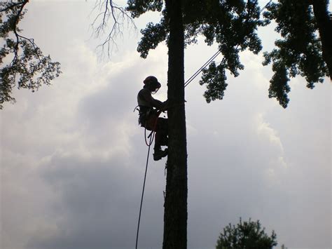 Descending From Danger