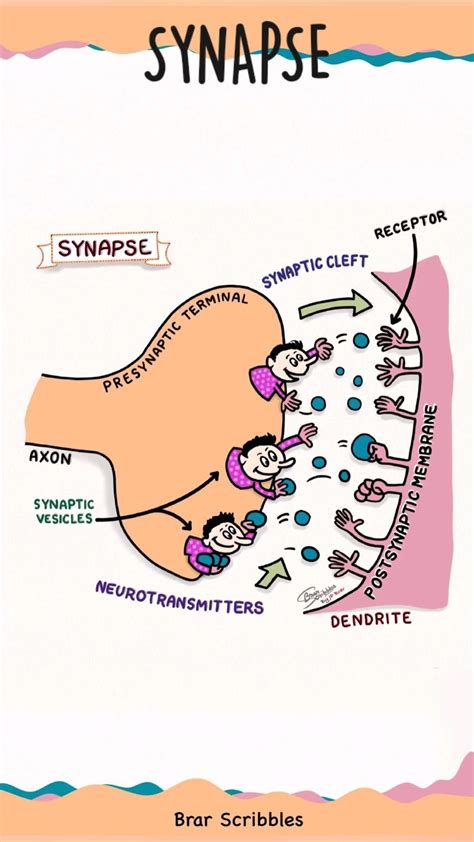 Synapse Animation