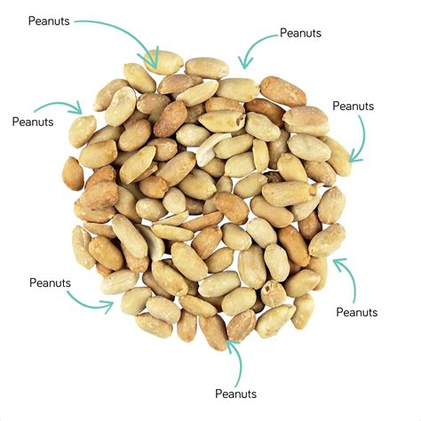 National Peanut Day Fun Facts - Truly Good Foods