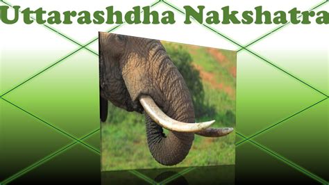 Uttarashada Nakshatra - YouTube