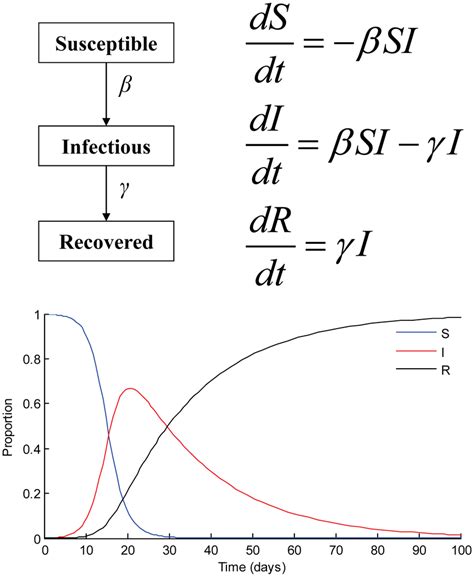 SIR model. Schematic representation, differential equations, and plot ...