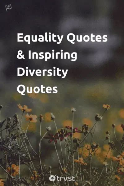 100 Equality Quotes to Inspire Diversity & Inclusion