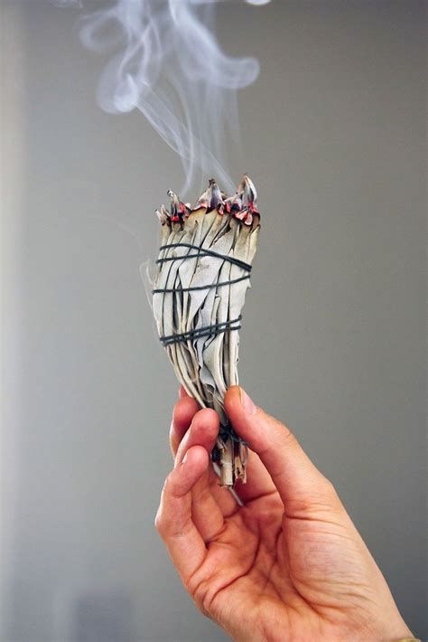 White sage helps to clear negative energy when its burned, helping you ...