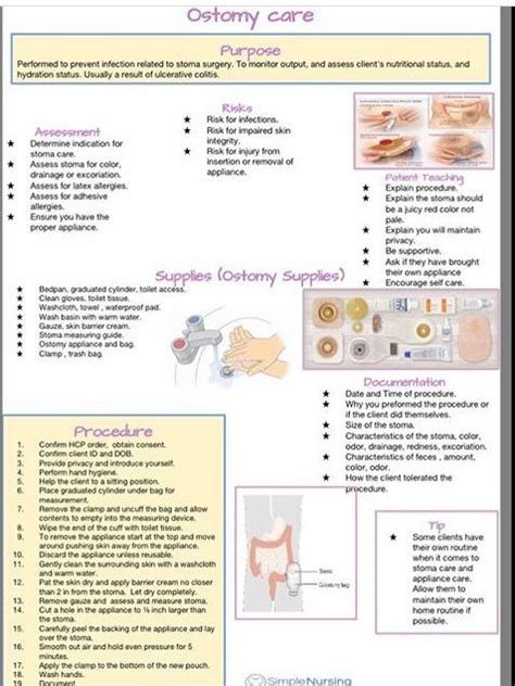 Colostomy Care Nursing Teaching - KenzieecHogan