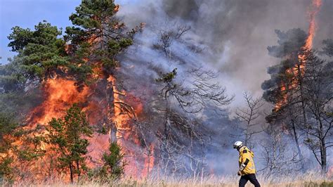 Environnement : Comment protéger nos forêts des incendies