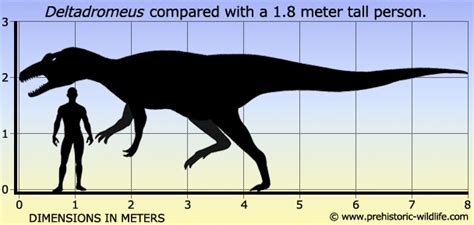 Deltadromeus Pictures & Facts - The Dinosaur Database