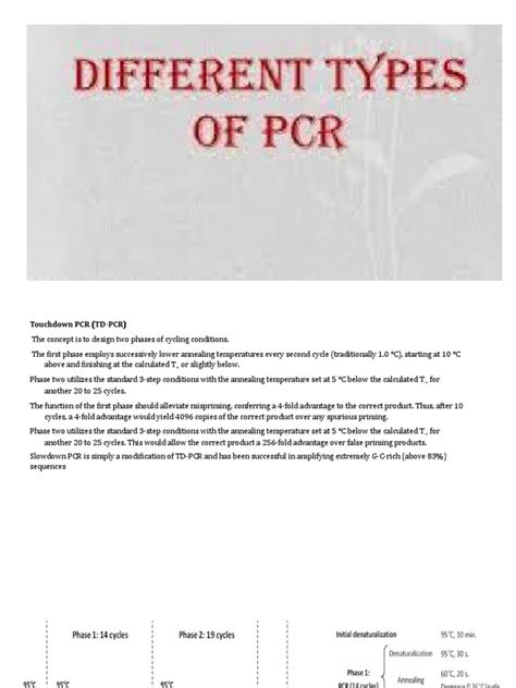 Types of PCR | PDF