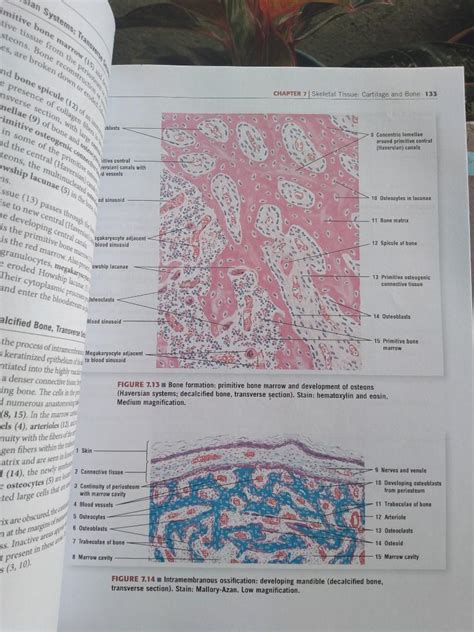 Atlas of Histology, Textbooks on Carousell