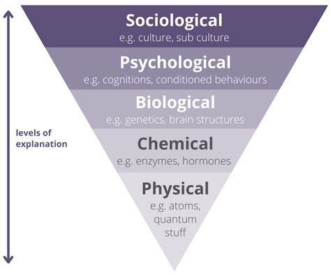 Issues and Debates - Psychology A Level