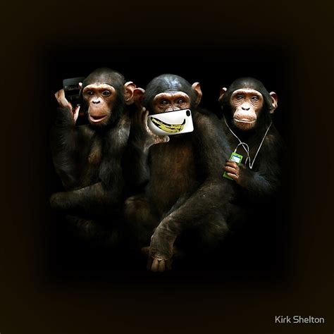 "Speak no Evil, See no Evil, Hear no Evil." by Kirk Shelton | Redbubble