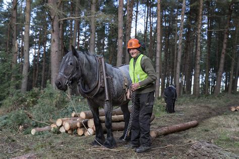 British Horse Loggers | shaun stothard | Flickr