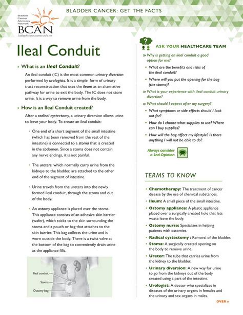 (PDF) Ileal Conduit - Home Raising Awareness · Stoma Ostomy bag Ileal ...