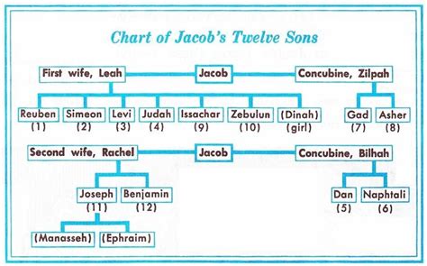 Image result for chart of Jacob's children by his wives | Learn the ...