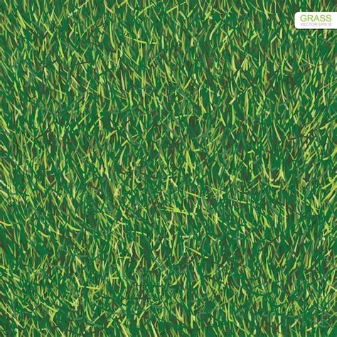 Premium Vector | Green lawn grass texture for background.