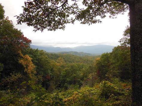 Roaring Fork Motor Nature Trail - See the Smoky Mountains with Kids