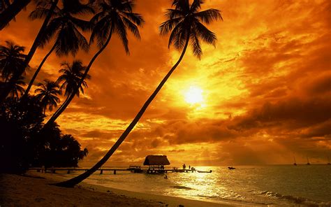 Tropical Beach Sunset Wallpapers - Wallpaper Cave