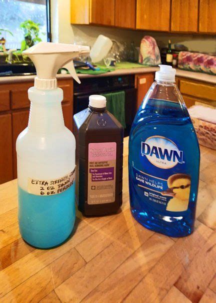 DIY Carpet Cleaner Solution with Dawn & Hydrogen Peroxide - Homemade ...