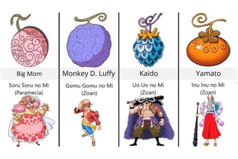 Tổng hợp những trái ác quỷ trong One Piece | One Piece Wiki [ 2022 ]