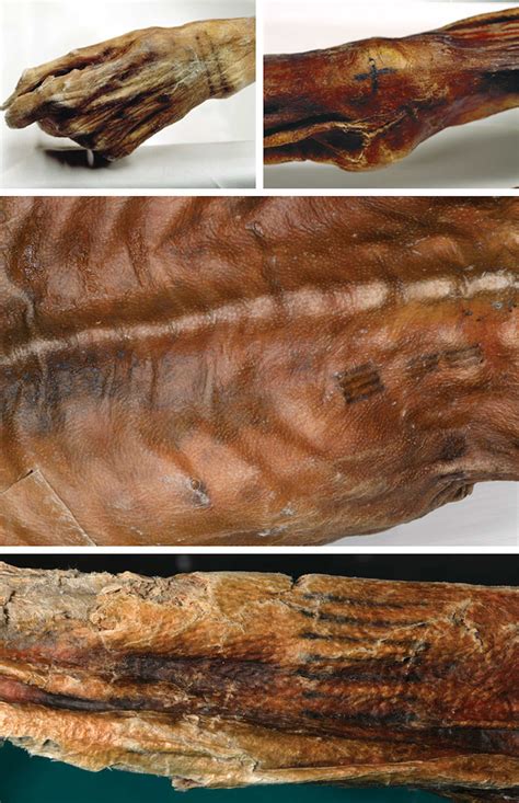 What Ötzi the prehistoric iceman can teach us about the use of tattoos ...