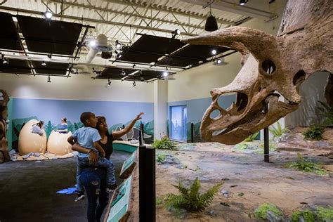 The Exhibit | Big John Triceratops | Tampa