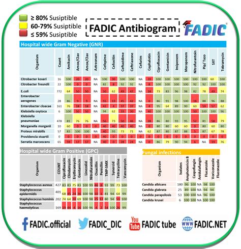 Hospital Antibiogram Role in Antimicrobial Stewardship