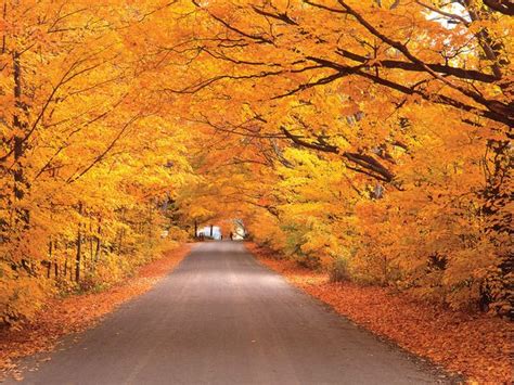 Stowe, VT Fall. Drive through the Notch or find this on West Hill or ...