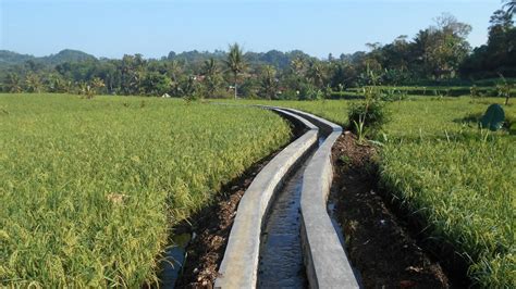 Musim Kemarau, Pemerintah Izinkan Petani Sodet Aliran Irigasi ...