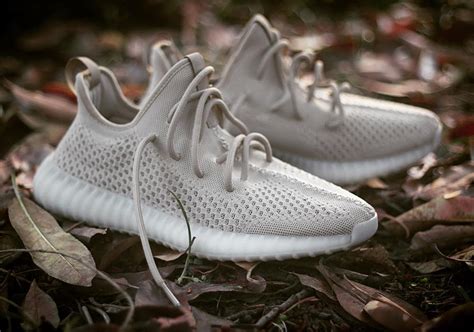 Are These the adidas Yeezy Boost 350 V3's? - WearTesters