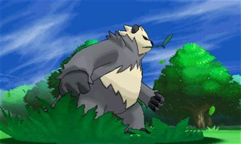 Pangoro - New Pokémon - Pokémon X & Y - Azurilland