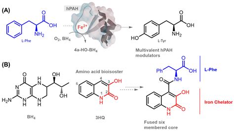 Phenylalanine Hydroxylase